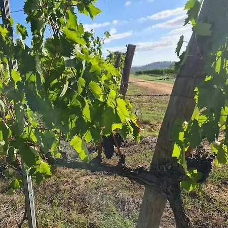 Montepulciano - La Casetta Del Pian Delle Noci