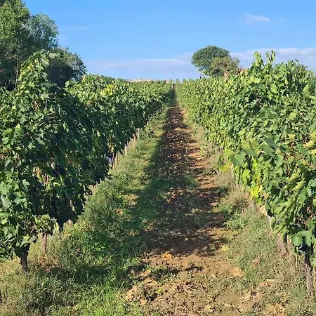 Montepulciano - La Casetta Del Pian Delle Noci Дом отдыха Аквавива