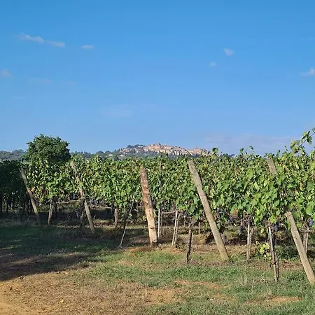 Holiday home Montepulciano - La Casetta Del Pian Delle Noci Acquaviva (Montepulciano)