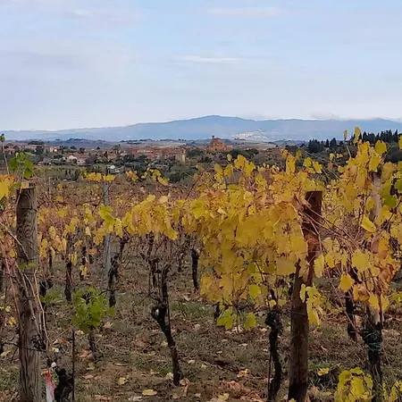 Montepulciano - La Casetta Del Pian Delle Noci Acquaviva (Montepulciano)