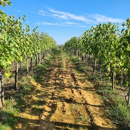 Montepulciano - La Casetta Del Pian Delle Noci Аквавива