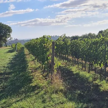 Montepulciano - La Casetta Del Pian Delle Noci Дом отдыха