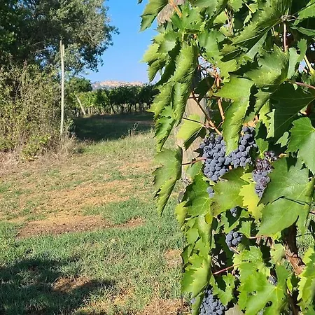 Holiday home Montepulciano - La Casetta Del Pian Delle Noci Acquaviva (Montepulciano)