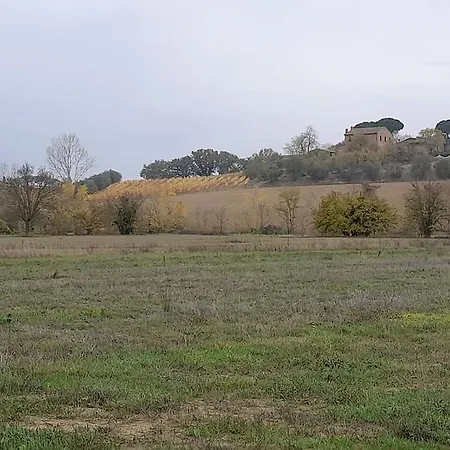 Holiday home Montepulciano - La Casetta Del Pian Delle Noci Acquaviva (Montepulciano)