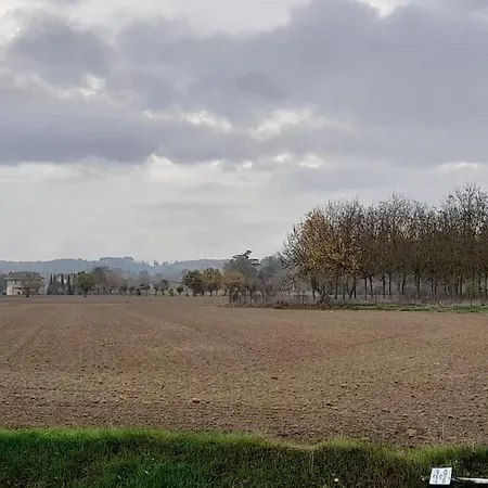 Montepulciano - La Casetta Del Pian Delle Noci Acquaviva (Montepulciano)